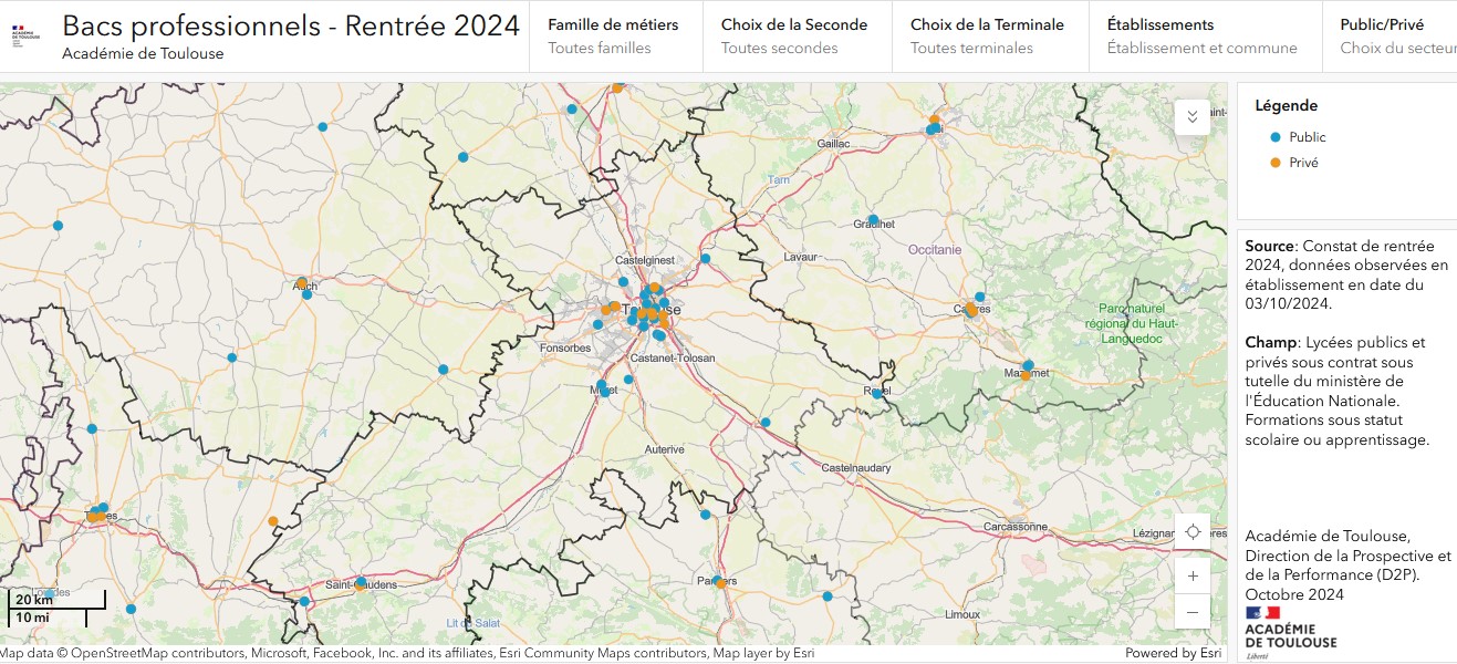 D2P - Visuel carte voie pro